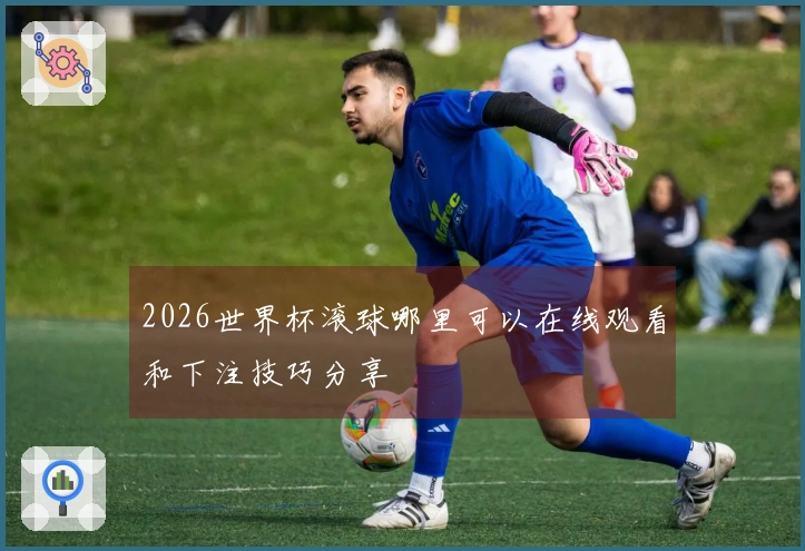 2026世界杯滚球哪里可以在线观看和下注技巧分享