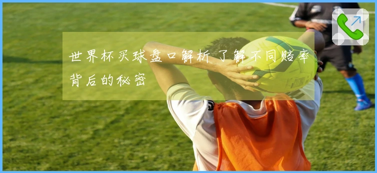 世界杯买球盘口解析 了解不同赔率背后的秘密