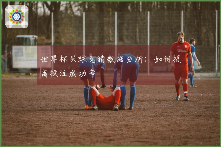 世界杯买球竞猜数据分析：如何提高投注成功率