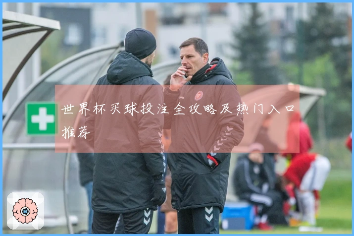 世界杯买球投注全攻略及热门入口推荐